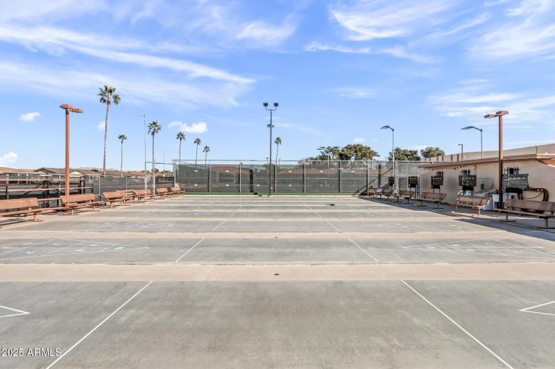 Shuffle Board Courts