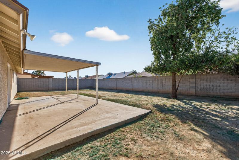 38_9025_W_Cinnabar38_mls