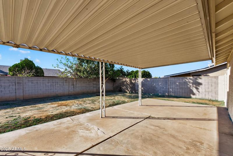 43_9025_W_Cinnabar43_mls