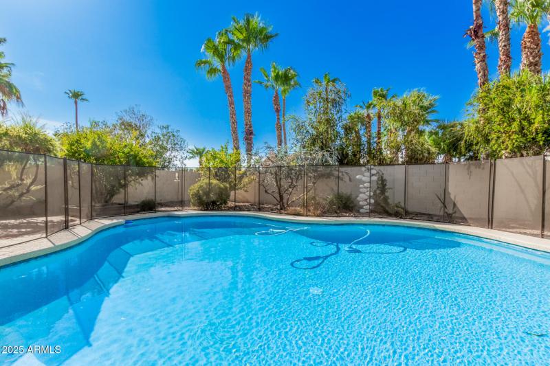 27 - Forest Hills 816