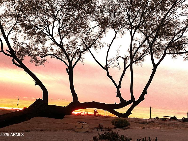 b. Sunset_ IMG_5133_25750 W MC 85 - Copy