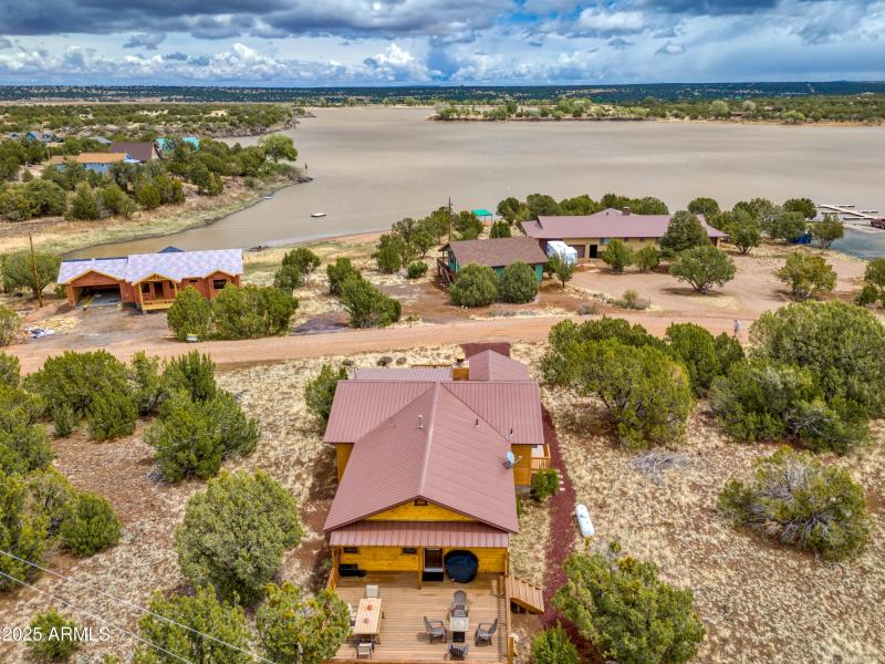 Back Drone with View