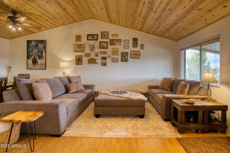 Living Vaulted Spacious