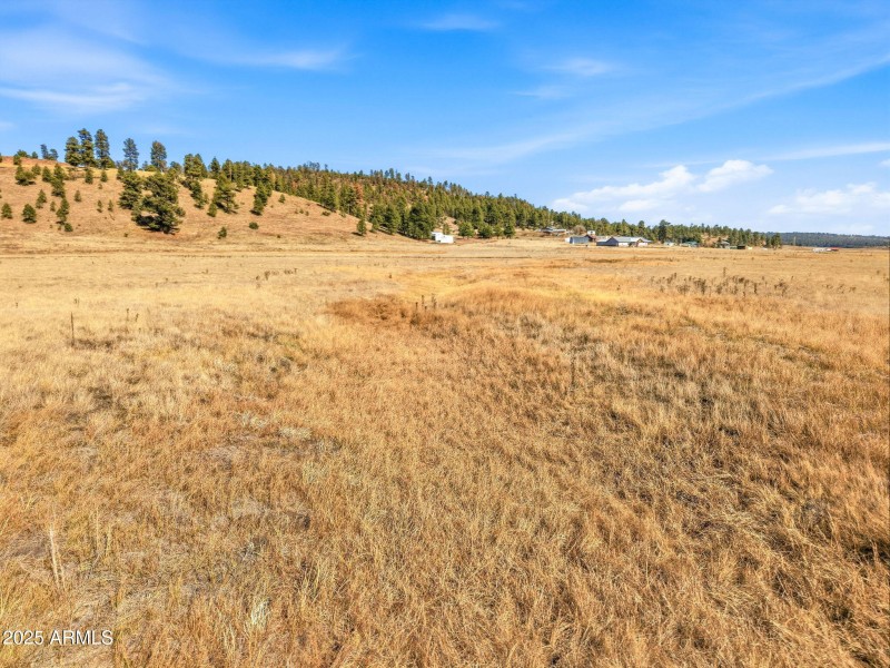 Parcel-101-73-023-Alpine-AZ-15