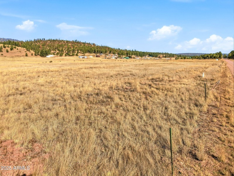 Parcel-101-73-023-Alpine-AZ-17