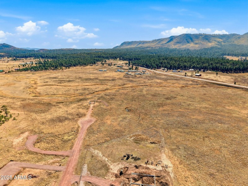 Parcel-101-73-025-Alpine-AZ-2