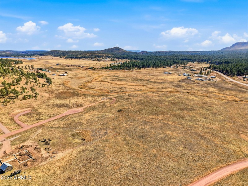 Parcel-101-73-025-Alpine-AZ-3