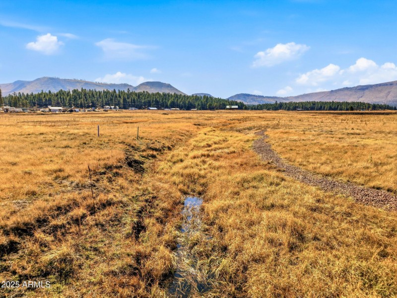 Parcel-101-73-025-Alpine-AZ-16