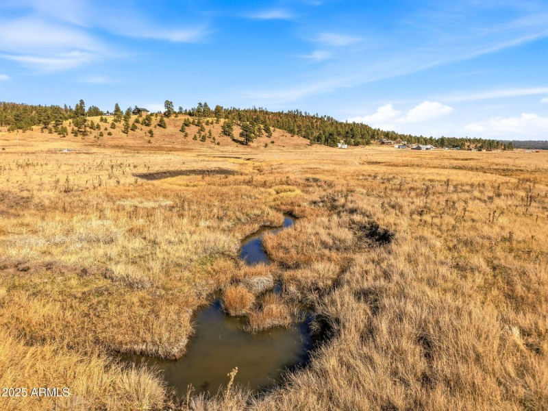 Parcel-101-73-025-Alpine-AZ-17