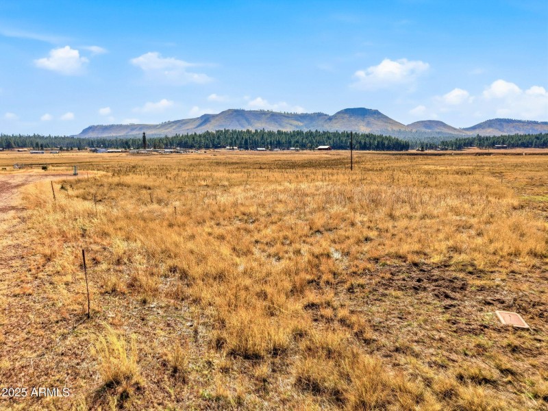 Parcel-101-73-025-Alpine-AZ-21