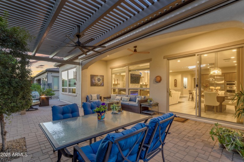 South Facing Back Yard