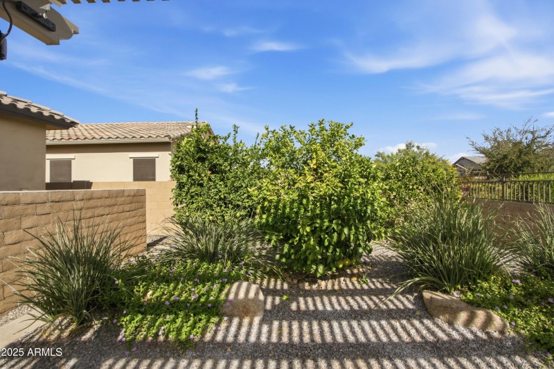 Exterior_Exterior-10 (1)