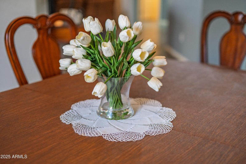 42448 W Almira Drive-11