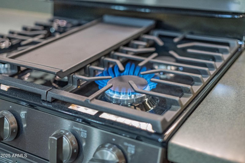 42448 W Almira Drive-16