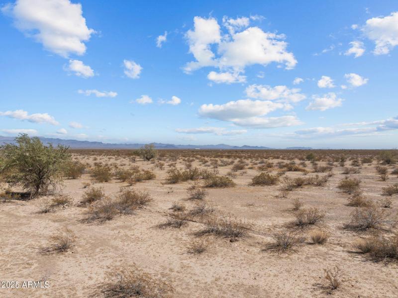 15-web-or-mls-DJI_20250227195537_0058_D