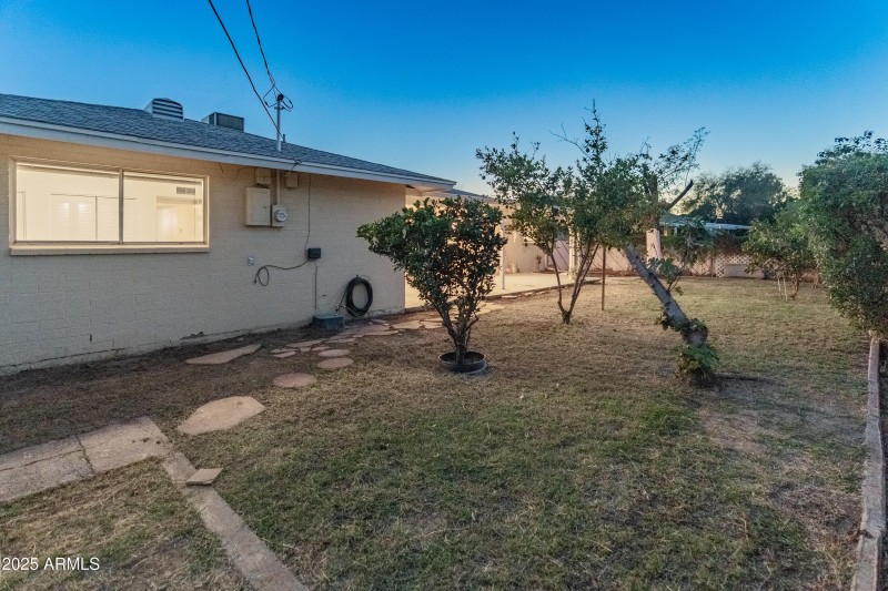 mature-trees-and-grassy-backyard