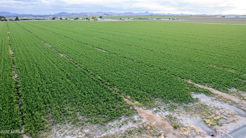 Open land nearby nearby