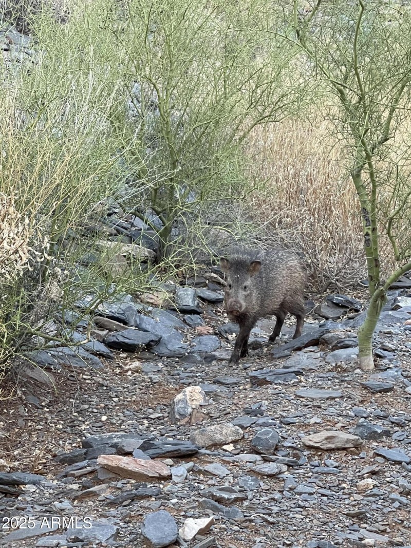 Owner Provided Photo