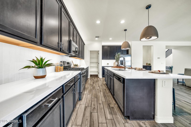 21957 N 98th Ln-13_(2048)