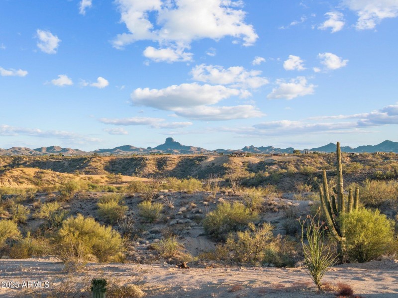 25-web-or-mls-DJI_20250603013118_0073_D