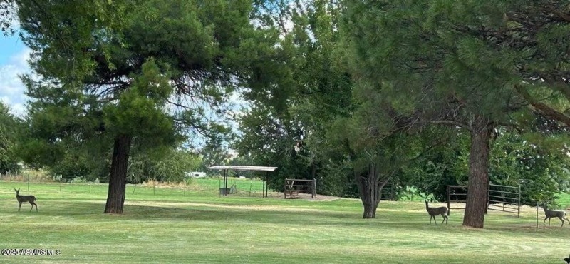 726 E. Riverglen Dr..jpg-11