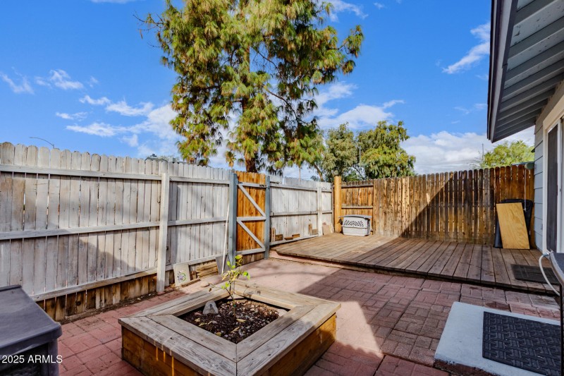 Low Maintenance Backyard