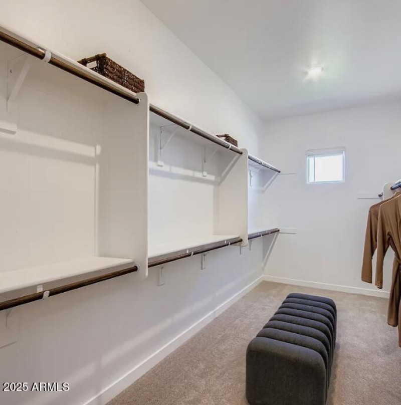 Owners Walk in Closet