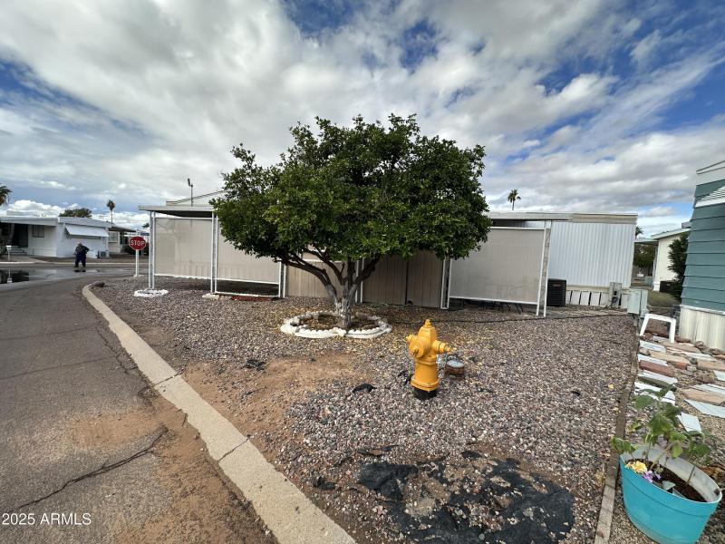 Photo Nov 18 2025, 12 21 15 PM