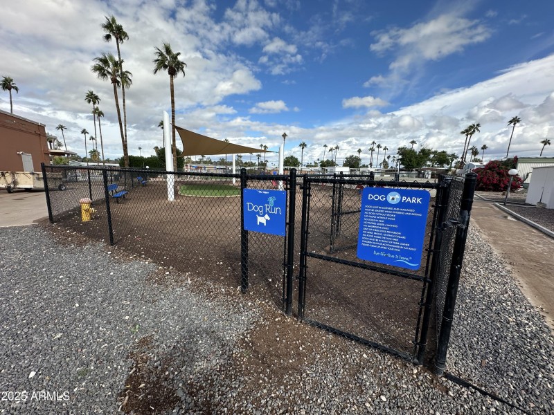 Photo Nov 18 2025, 12 25 08 PM