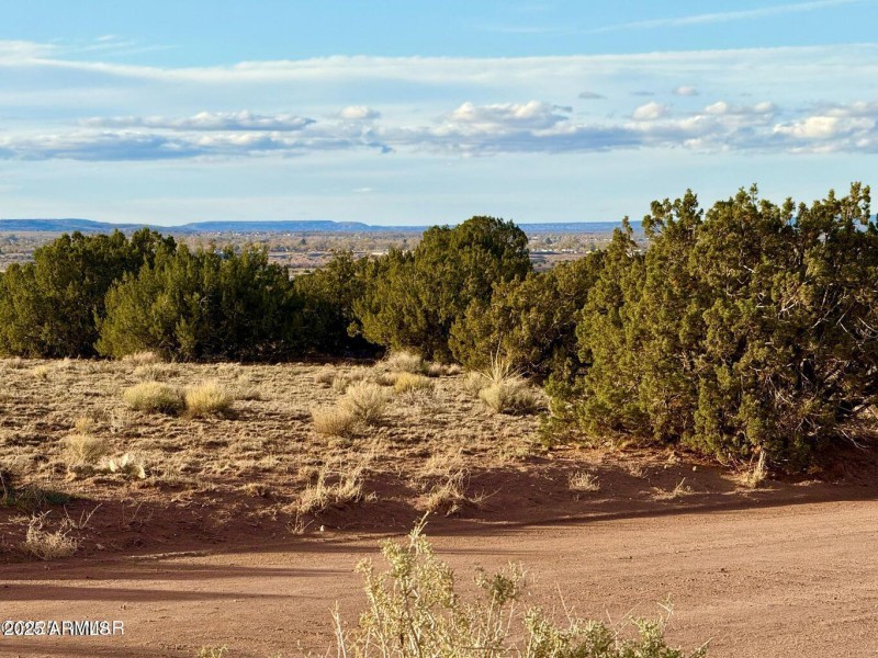 20251118074909807013000000-o