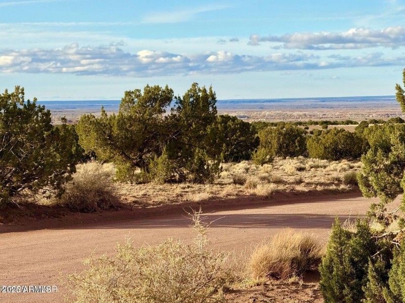 20251118074916956314000000-o