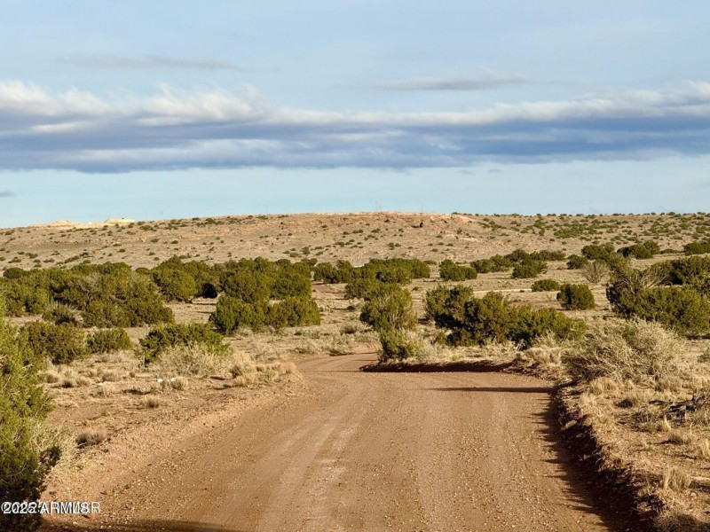 20251118075523629271000000-o