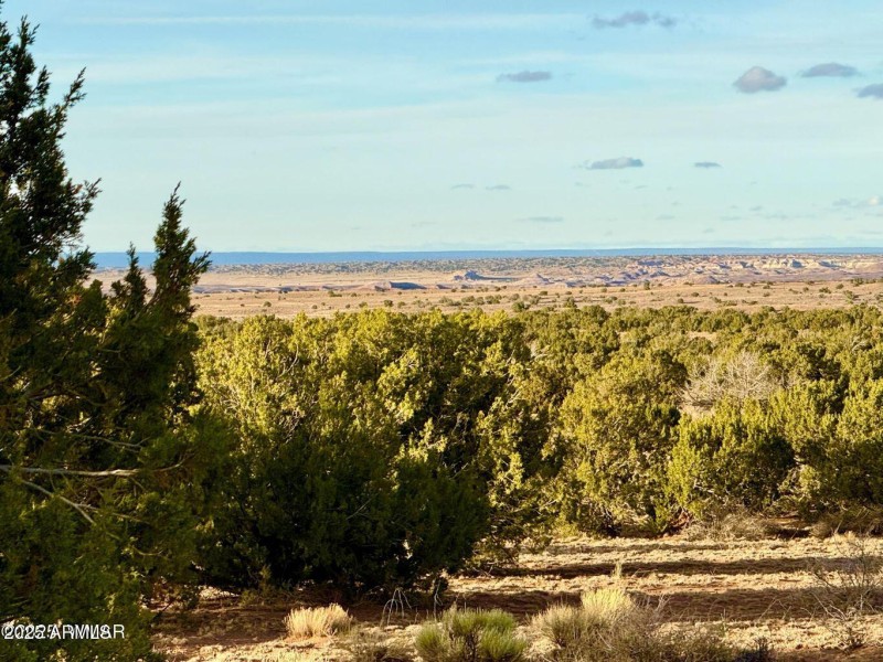 20251118081102634343000000-o