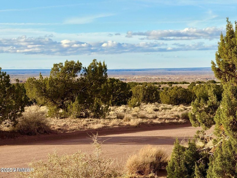 20251118074944504087000000-o