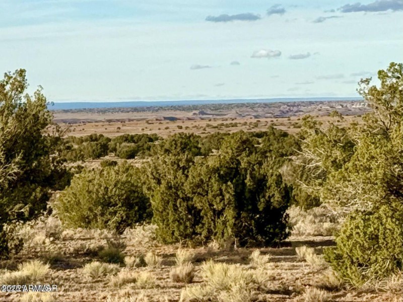 20251118080700547521000000-o