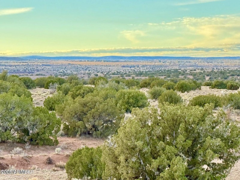 20251118081415678679000000-o