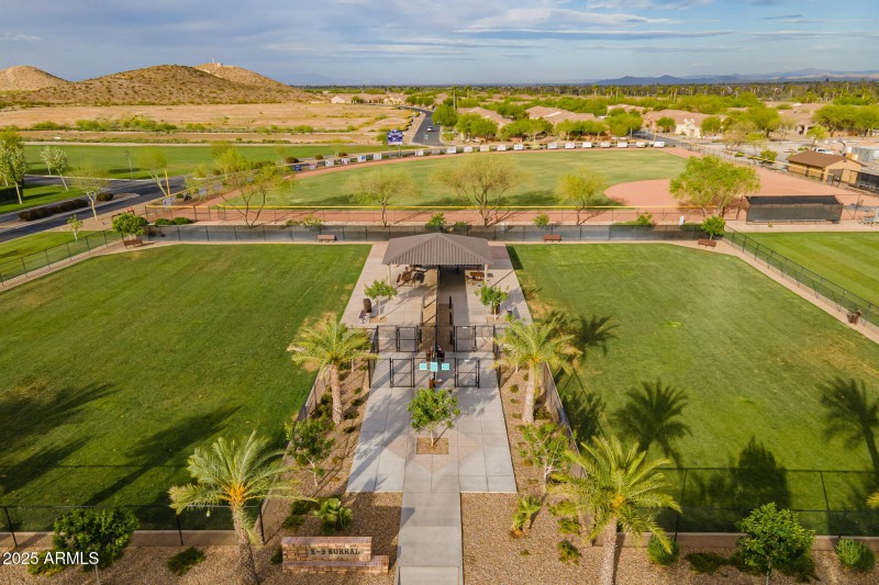 Robson Ranch dog park view
