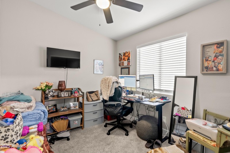 13-20251117-DSC00027_1