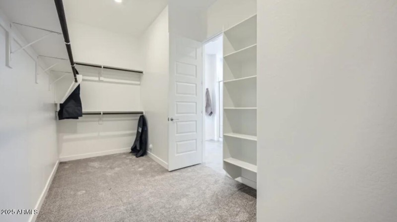 Owners Walk in Closet