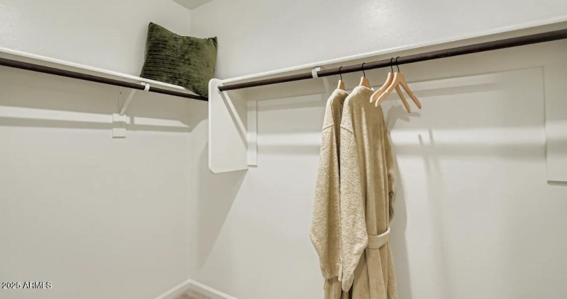 Owners Walk in Closet