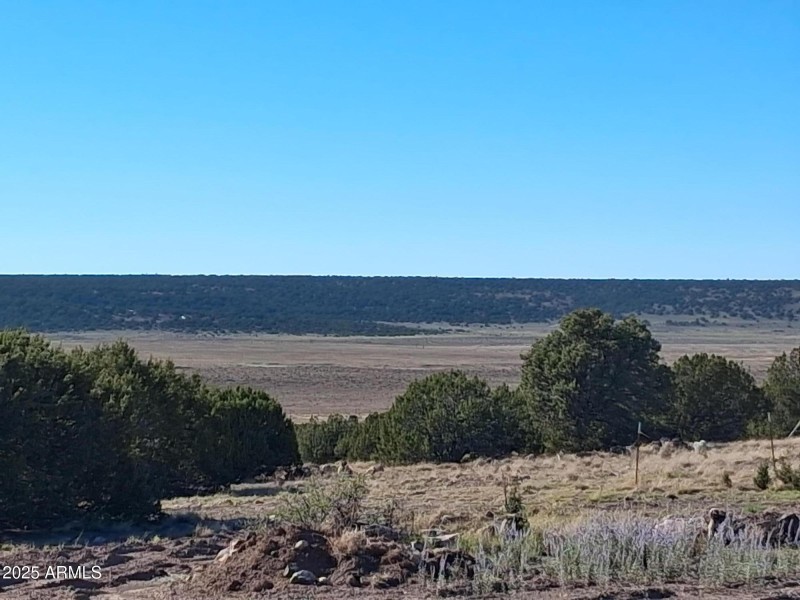 26 COUNTY ROAD N8171