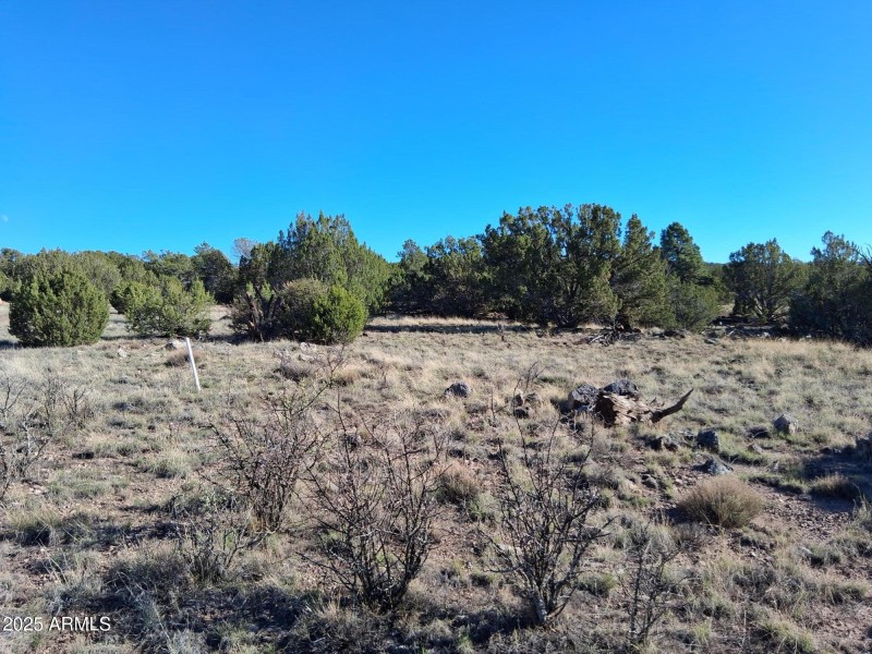 26 COUNTY ROAD N8171