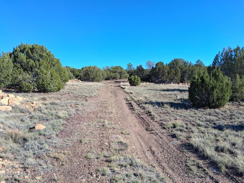 28 COUNTY ROAD N8171