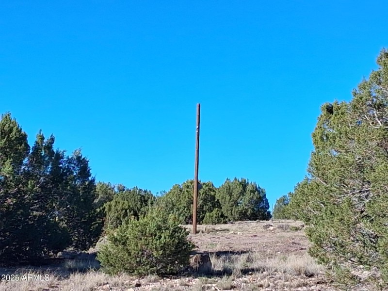 28 COUNTY ROAD N8171