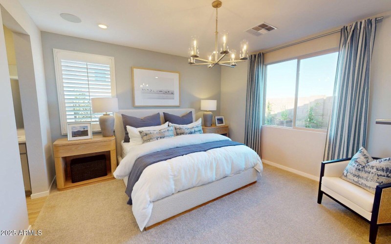 Wildflower-at-Blossom-Rock-Daisy-Primary