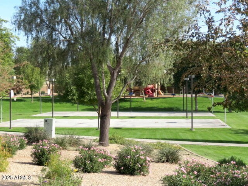 Cortessa Park with Basketball and Tot Lo