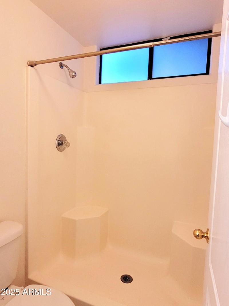 MASTER BATHROOM VIEW 2