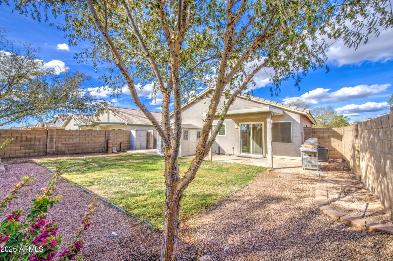 11465 E Cicero St - Backyard - 1