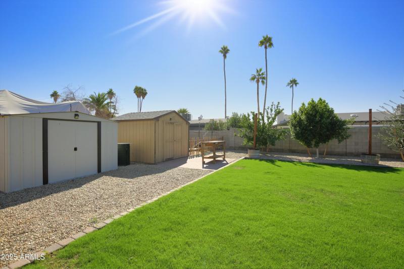 Backyard Sheds & Grass Area