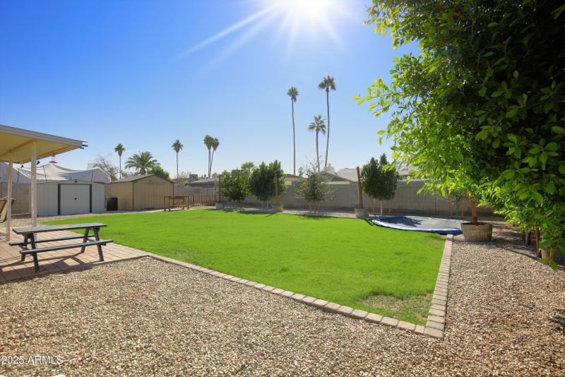 Backyard (From side)